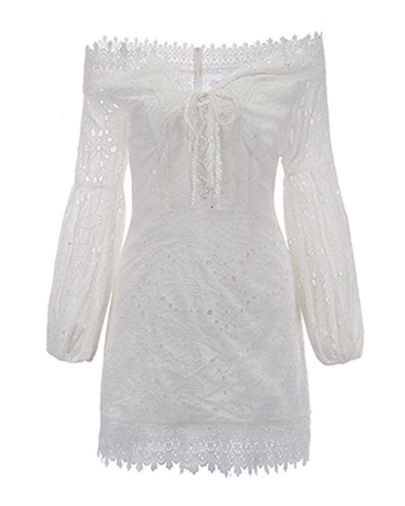 The Romantic Lace Long Sleeve Mini Dress