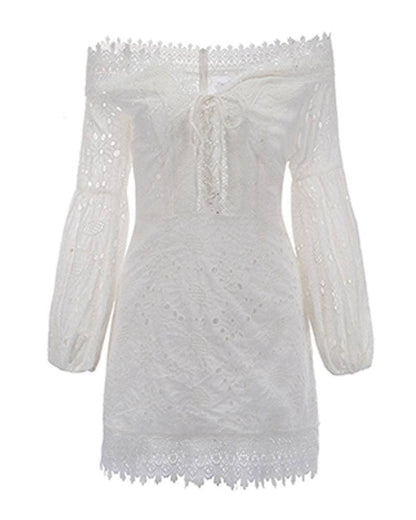 The Romantic Lace Long Sleeve Mini Dress