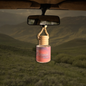 Western Hive Car Scent’rs | Canadian Made Car Diffusers