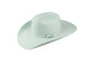 Renegade® Payson 2X Mint Tea Hat