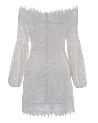 The Romantic Lace Long Sleeve Mini Dress