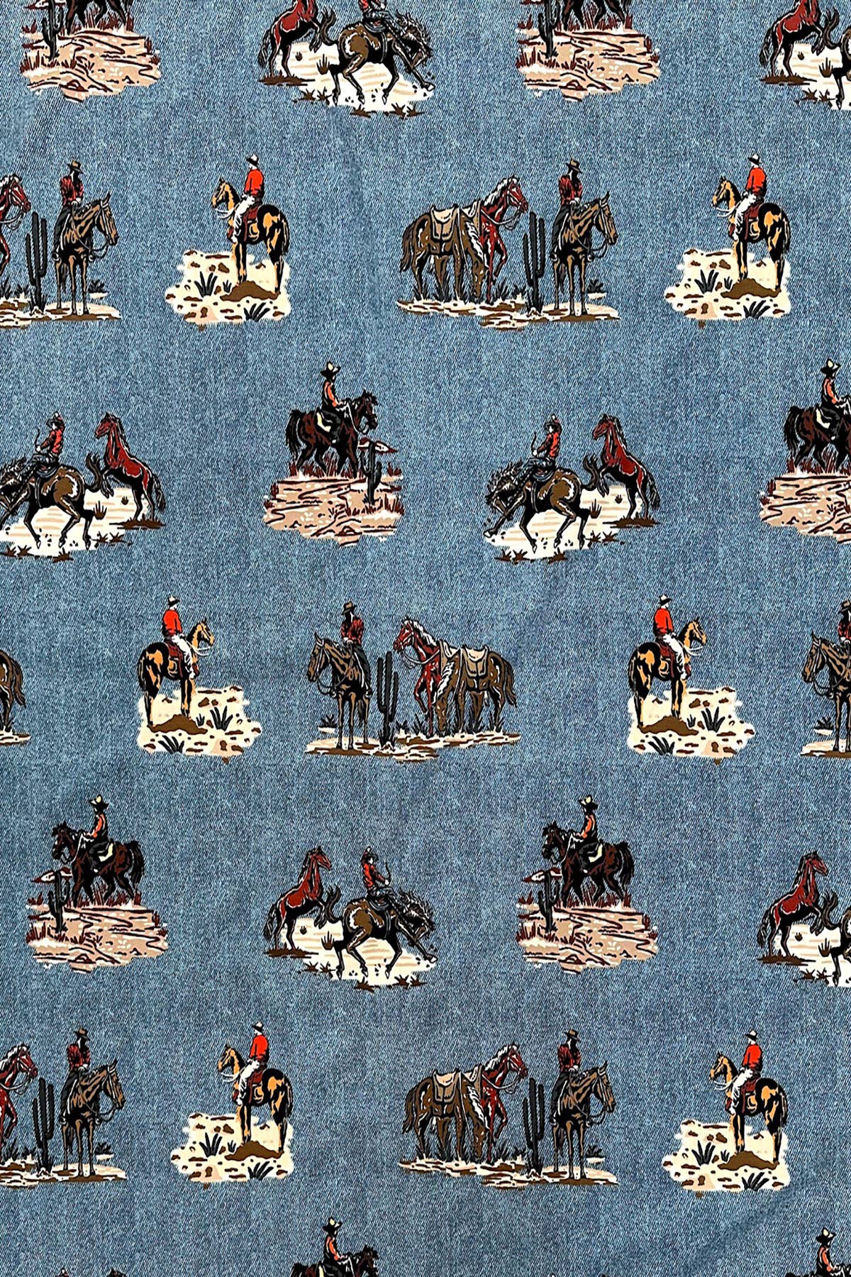 Western Friend Ranch Print Scarf