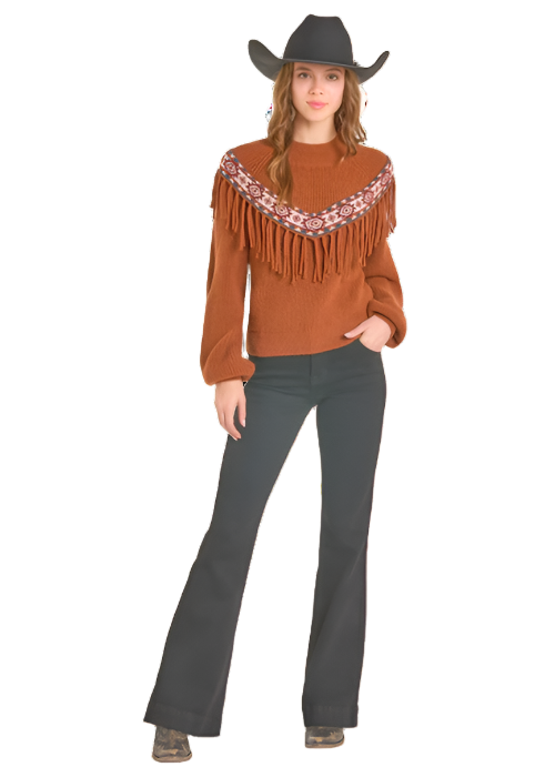 Rock and Roll Denim Sweater with Border and Fringe
